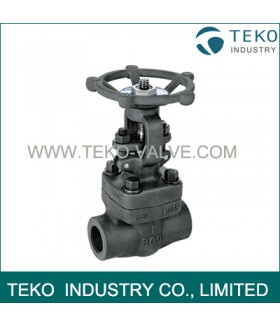 A105N 2 Inch Forged Steel Valves Flange End Conventional Port For Oil Pipe